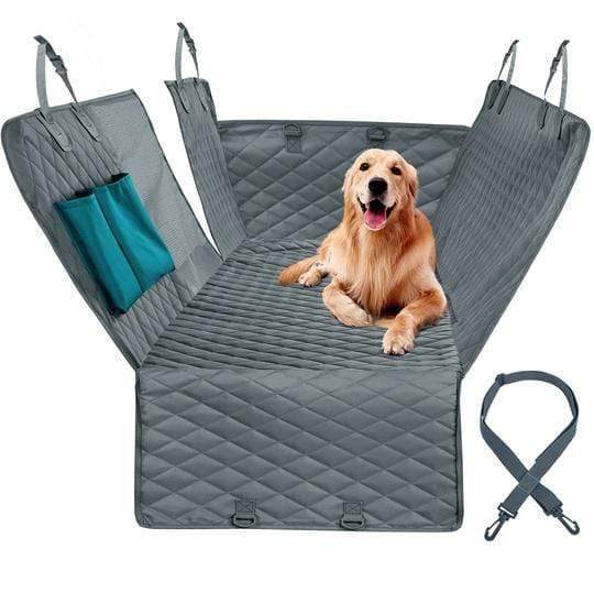 import placeholder for 4951