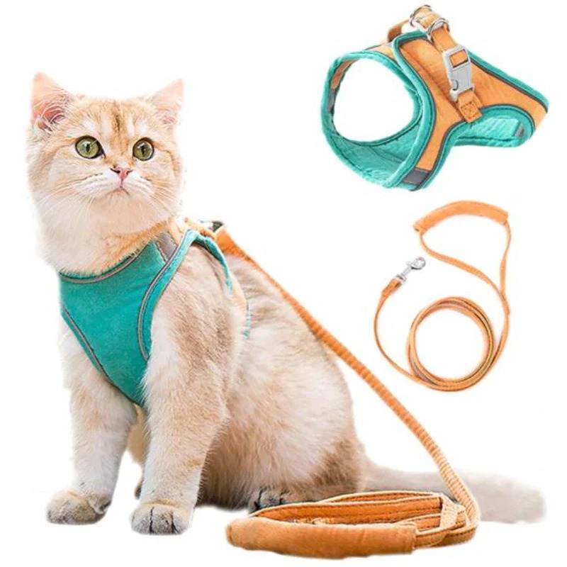 katzengeschirr mit katzenleine