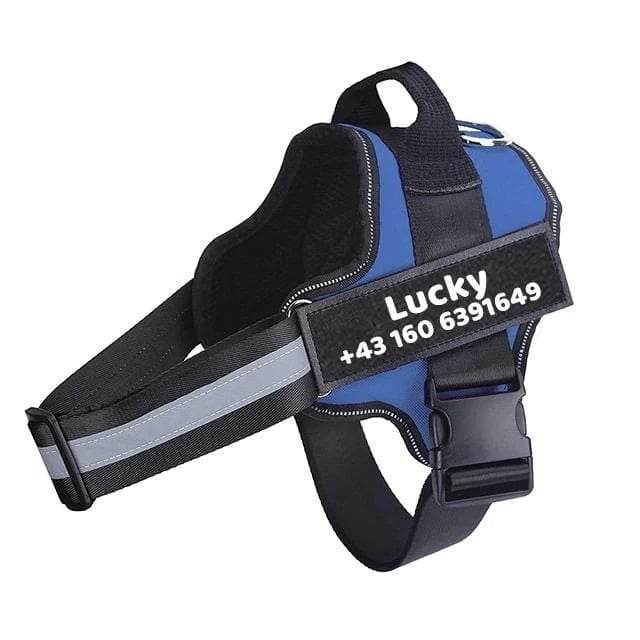 import placeholder for 4853