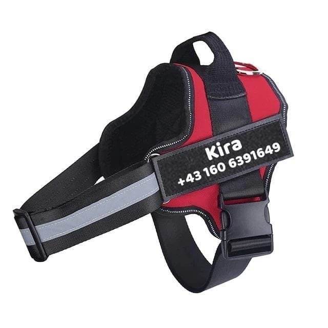 personalisiertes anti zug hundegeschirr
