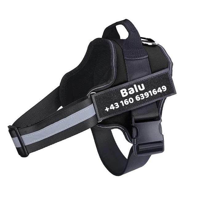 personalisiertes anti zug hundegeschirr