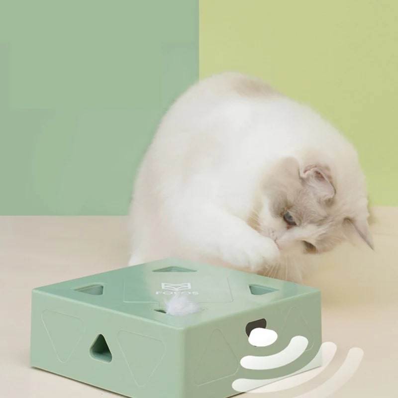 spaßbox das interaktive katzenspielzeug