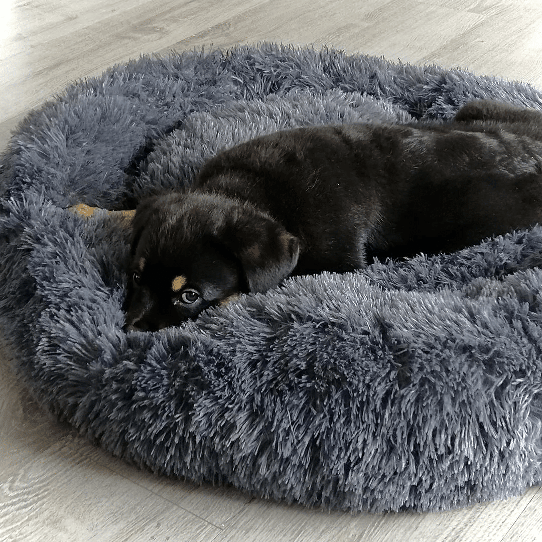 kuschelweiches hundebett wolke 7 unser original