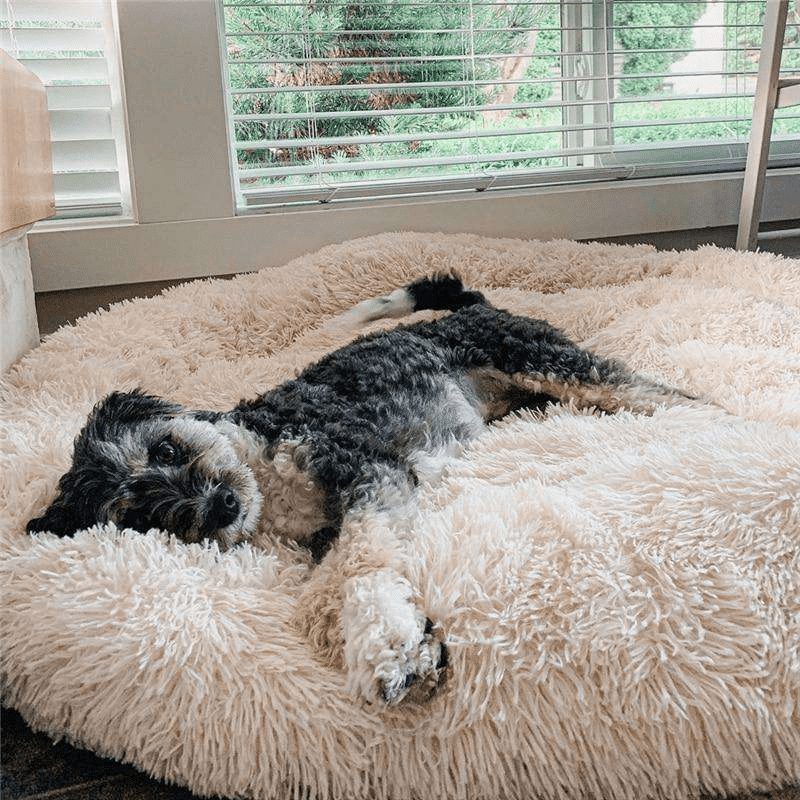 kuschelweiches hundebett wolke 7 unser original