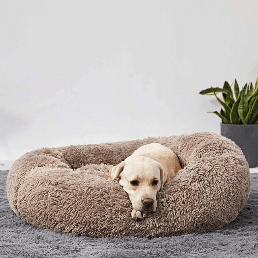 kuschelweiches hundebett wolke 7 unser original