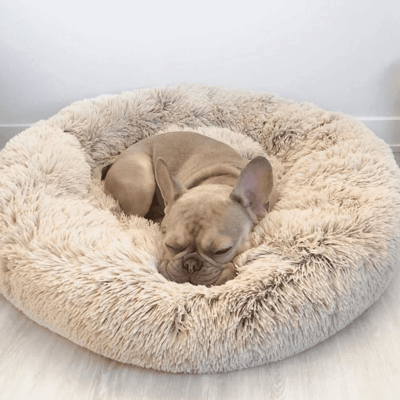 kuschelweiches hundebett wolke 7 unser original