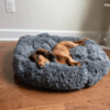 import placeholder for 2771