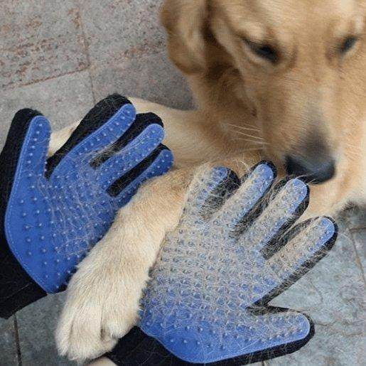 fellpflegehandschuh Hundepflege mit Bürstenhandschuh