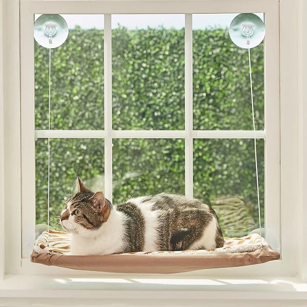 import placeholder for 5263 Katze auf Fensterliege entspannt