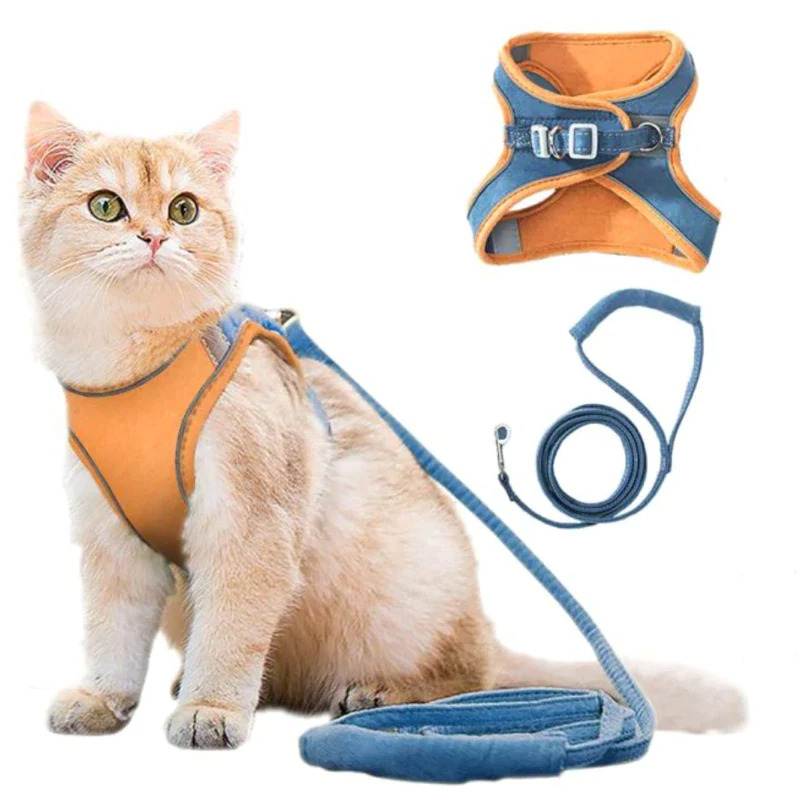 katzengeschirr mit katzenleine Katze mit Geschirr und Leine