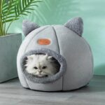 Katze in süßem Nest