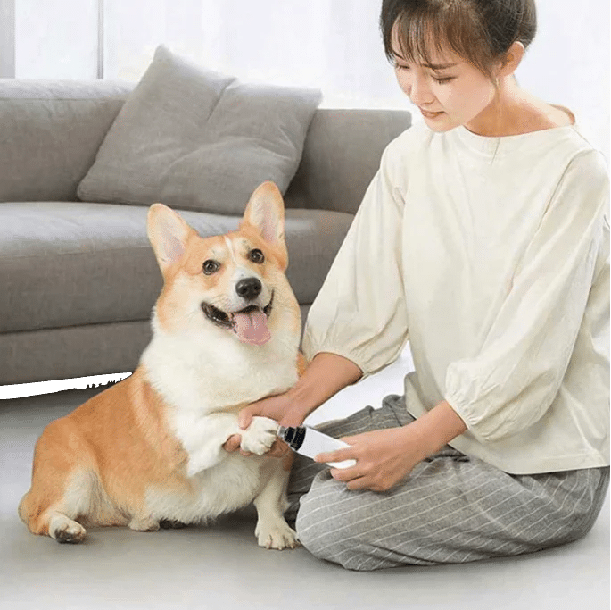 import placeholder for 4483 Frau trimmt Hundekrallen.