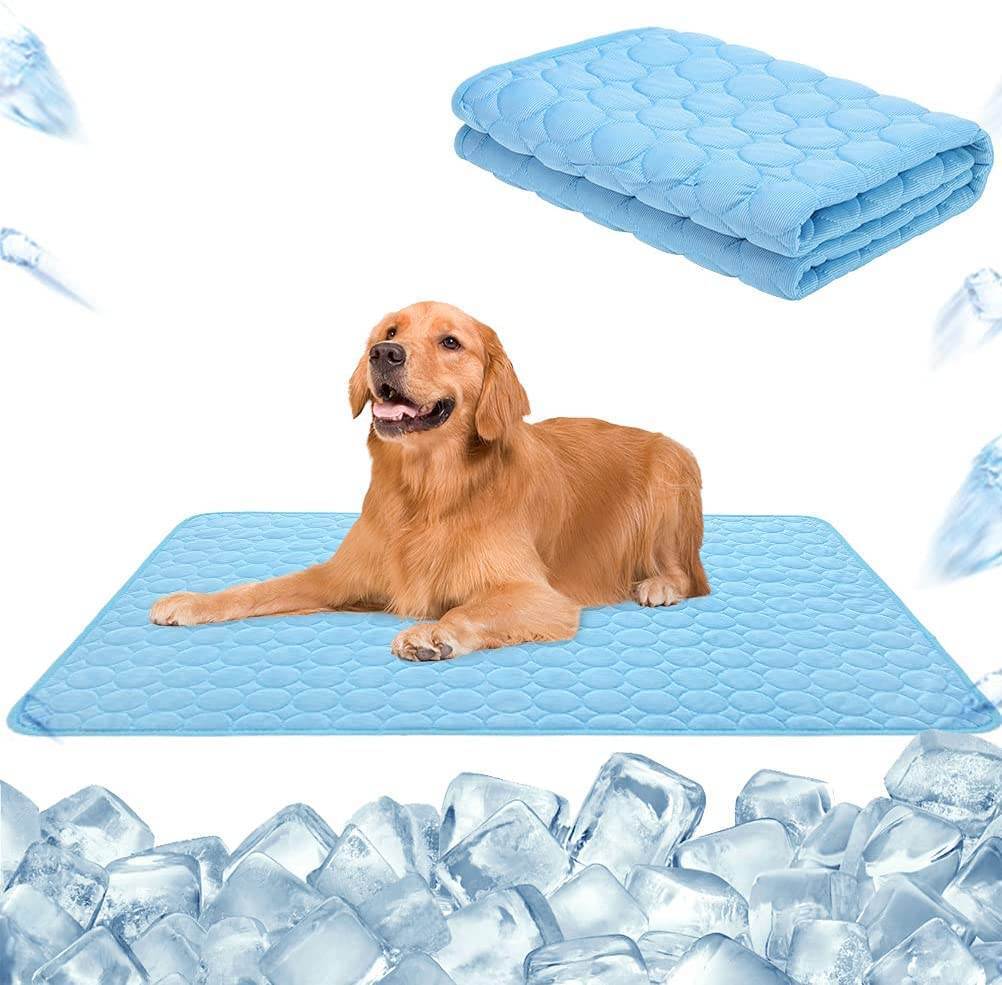 import placeholder for 4229 Hund auf Kühlmatte liegend
