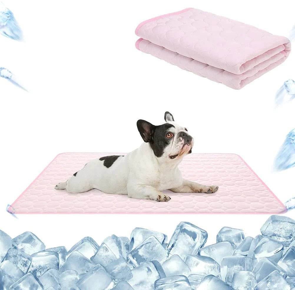 kühlmatte für hunde premium Französische Bulldogge auf Kühlmatte