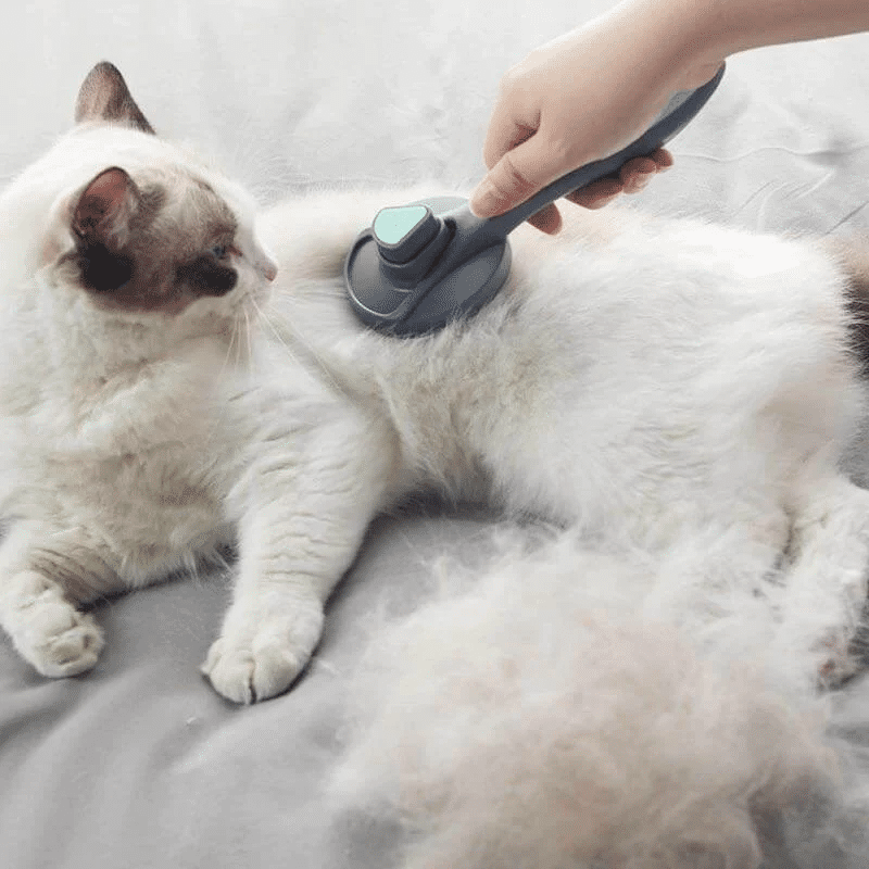 magische fellpflegebürste selbstreinigend Katzenbürste entfernt lose Haare