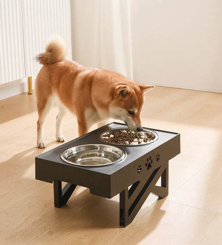 import placeholder for 4658 Hund frisst vom erhöhten Napf