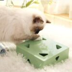 Katze spielt mit Intelligenzspielzeug