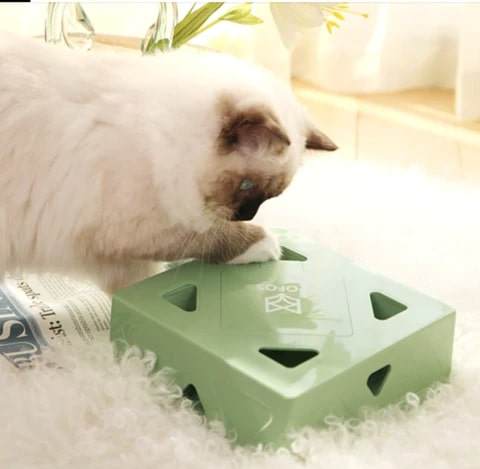 Katze spielt mit Intelligenzspielzeug