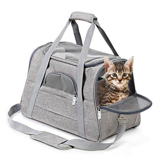 transporttasche für katzen Katze im Transporttasche