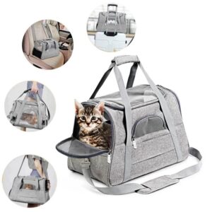 Katze in Transporttasche