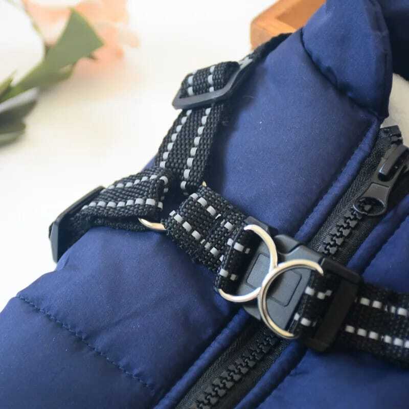 wasserdichter hundemantel wintermantel (fleece) Blauer Hundegeschirr mit Reißverschluss