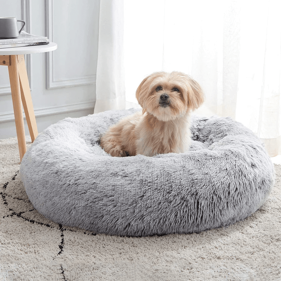 kuschelweiches hundebett wolke 7 unser original Hund im flauschigen Bett