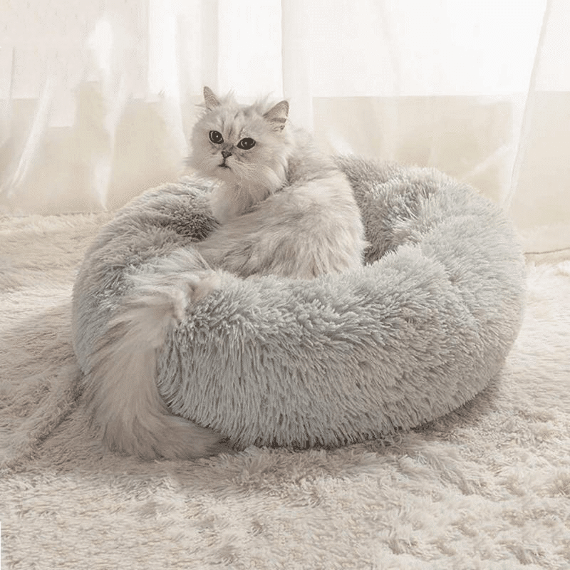 kuschelweiches katzenbett wolke 7 unser original Graue Katze im Plüschbett