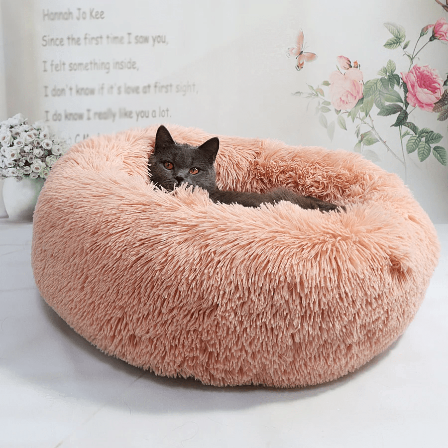 kuschelweiches katzenbett wolke 7 unser original Graue Katze im rosa Bett