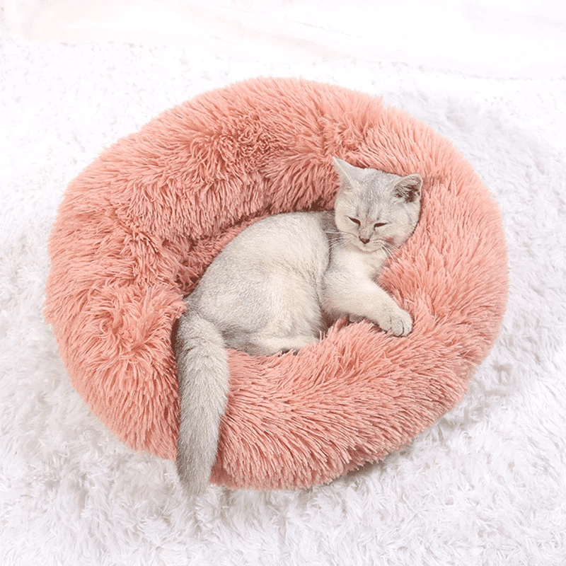 kuschelweiches katzenbett wolke 7 unser original Katze im rosafarbenen Bett