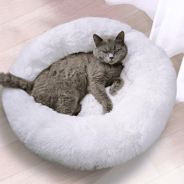 kuschelweiches katzenbett wolke 7 unser original Graue Katze im Kuschelbett