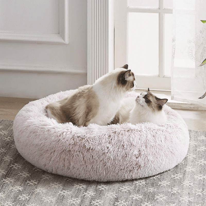 kuschelweiches katzenbett wolke 7 unser original Zwei Katzen im Katzenbett