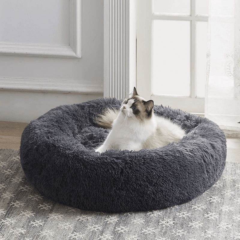 import placeholder for 2874 Katze in weichem Körbchen