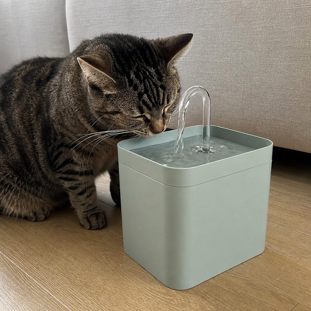 katzenbrunnen einsatz wohnzimmer Katzenbrunnen mit Waterflow Filter – Bild 2