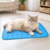 Katze entspannt auf blauer Kühlmatte im Wohnzimmer