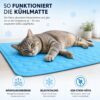 Infografik: So funktioniert die Kühlmatte für Katzen – Katze entspannt auf blauer Kühlmatte