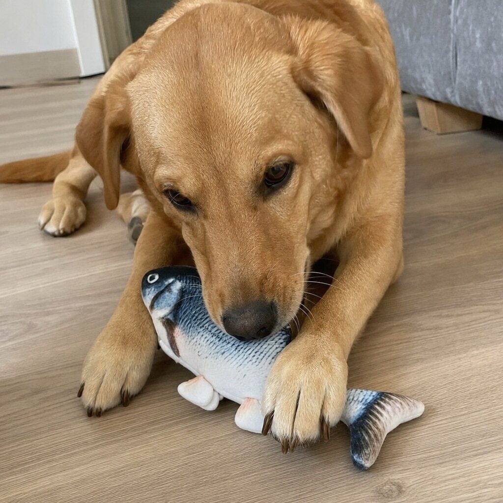 zappelfisch einsatz labrador Zappel Fisch - Interaktives Hundespielzeug – Bild 3