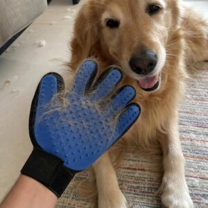 Fellpflegehandschuh entfernt Hundehaare