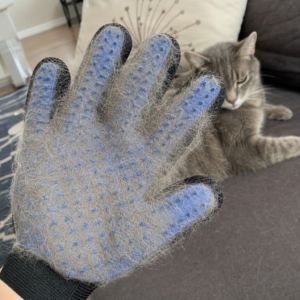 Handschuh mit gesammeltem Katzenfell in den blauen Noppen