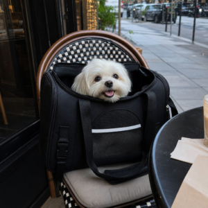 Malteser in der Tragetasche im Strassencafe