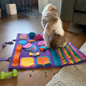 Shih Tzu schnueffelt in der bunten Schnueffelmatte