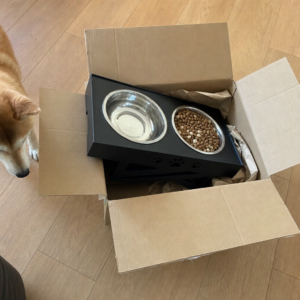 Erhoehter Futternapf frisch geliefert halb aus dem Karton